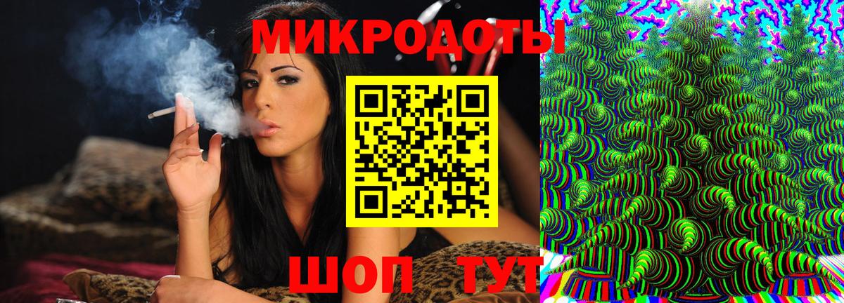 Псилоцибиновые грибы Cubensis Полевской